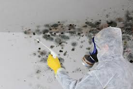 Best Commercial Mold Inspection  in White Mountain Lake, AZ